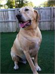 daycare pic 2 - moose